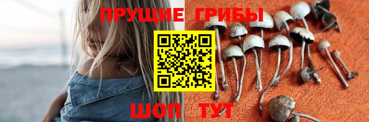 Галлюциногенные грибы GOLDEN TEACHER Киселёвск