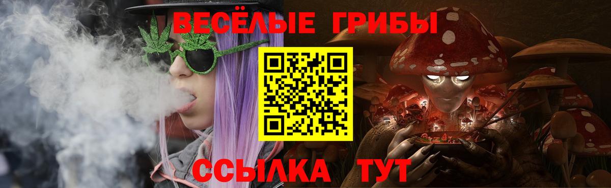 Киселёвск  Галлюциногенные грибы мухоморы  Вход с VPN 