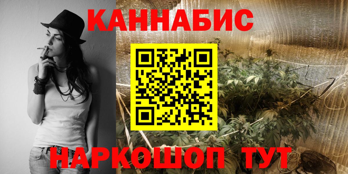 Бошки Шишки White Widow  Бошки марихуана гибрид  Шишки марихуана план  Киселёвск  Вход с VPN 